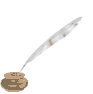 7128204114_568815.gif